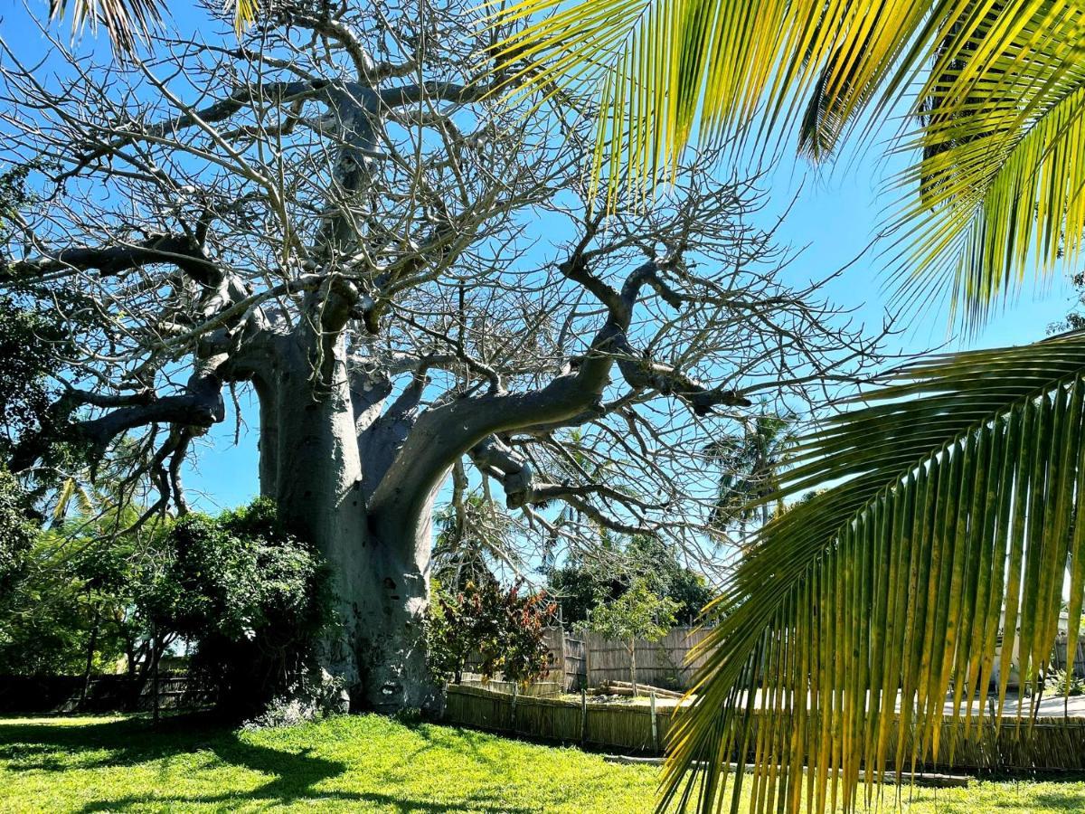 Baobab Beach Vilanculos Exterior photo