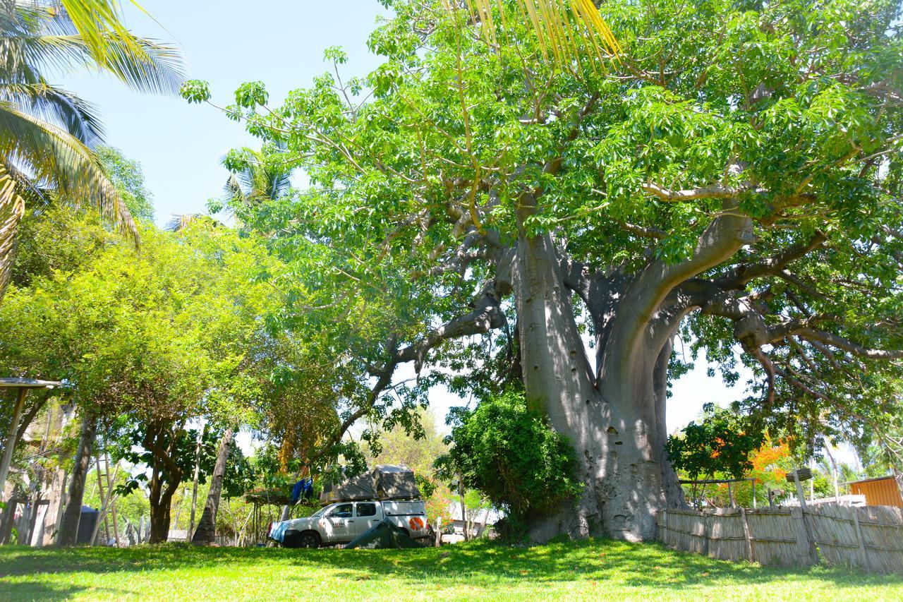 Baobab Beach Vilanculos Exterior photo